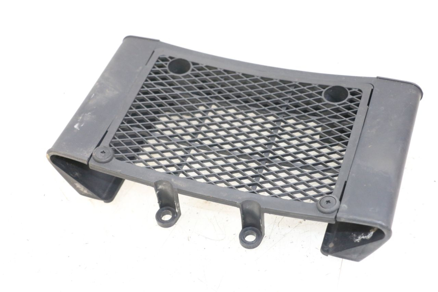 photo de GRIGLIA RADIATORE DAELIM VL DAYSTAR 125 (2000 - 2011) - Altra angolazione