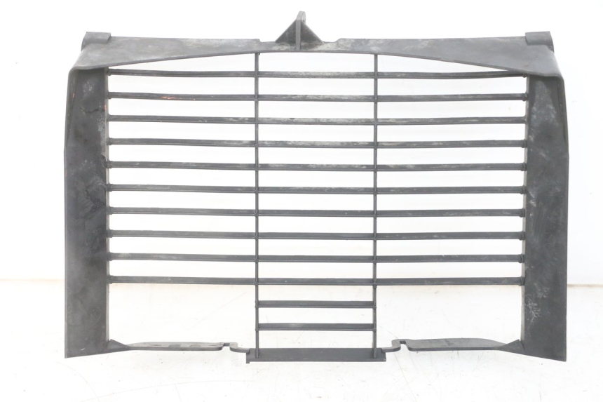 photo de GRIGLIA RADIATORE YAMAHA XJ6 ABS 600 (2008 - 2016) - Vista principale