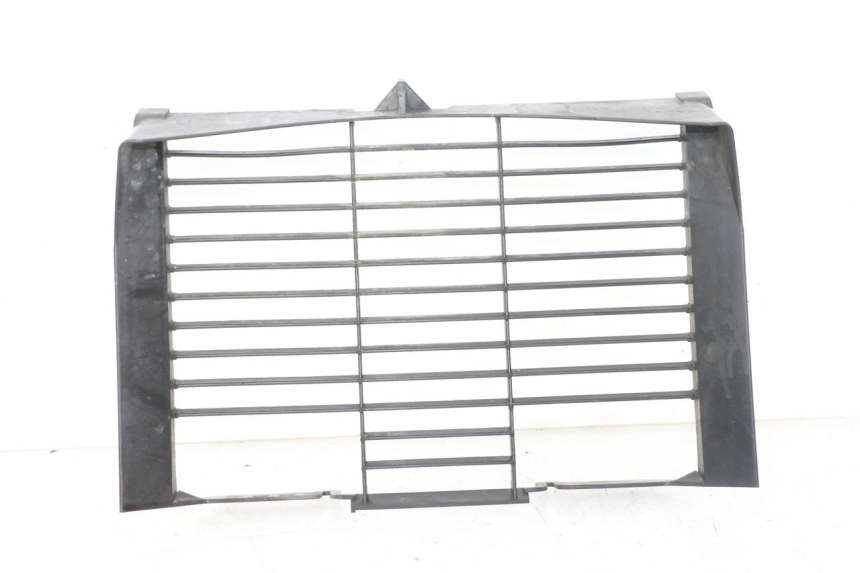 photo de GRIGLIA RADIATORE YAMAHA XJ6 ABS 600 (2008 - 2016) - Vista principale