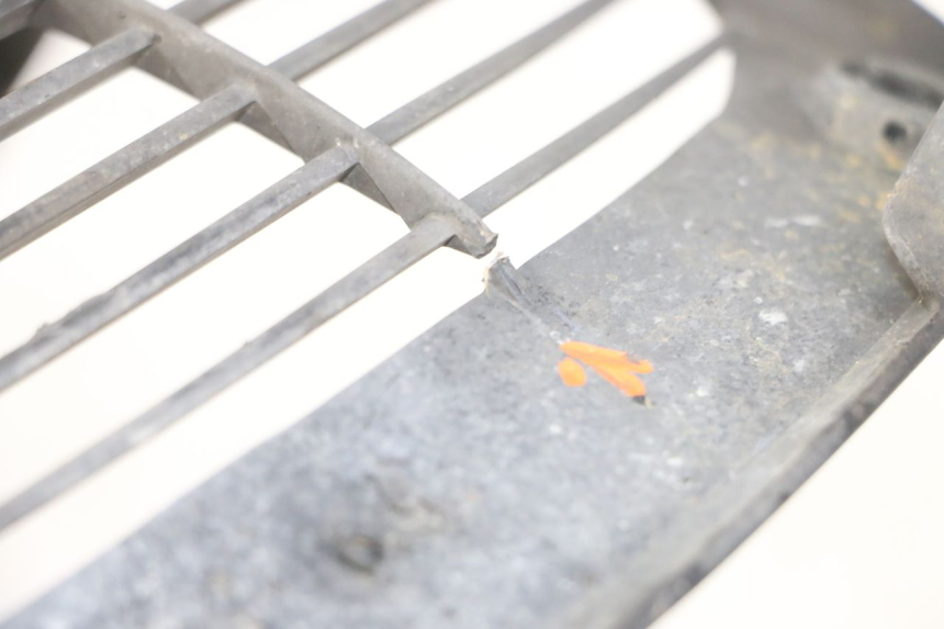 photo de GRIGLIA RADIATORE YAMAHA X-MAX XMAX ABS 250 (2010 - 2014) - Zoom sullo stato d'uso