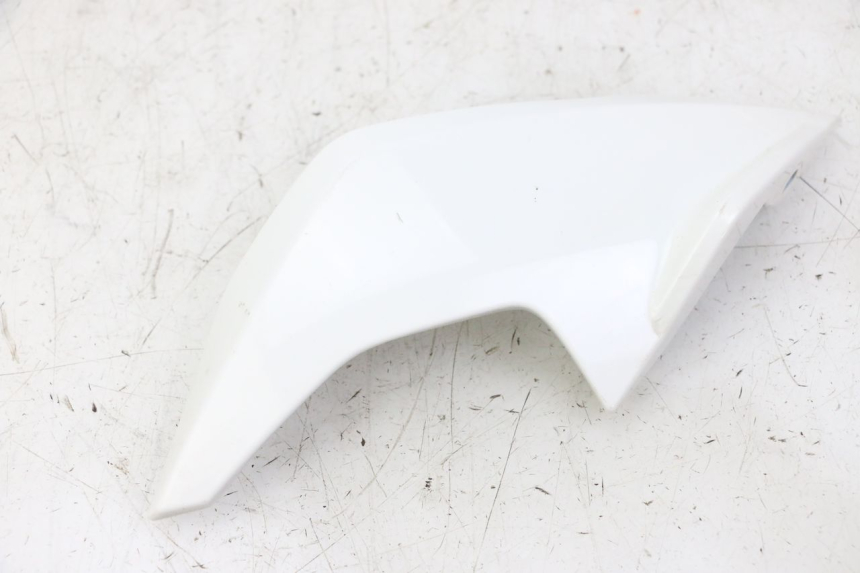 photo de INTERNA CUPOLINO DESTRO BMW G310 R 310 (2016 - 2020) - Dettagli dei punti di fissaggio