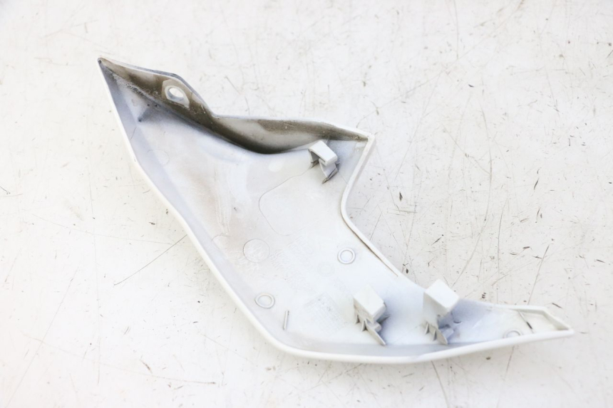 photo de INTERNA CUPOLINO SINISTRO BMW G310 R 310 (2016 - 2020) - Zoom sullo stato d'uso