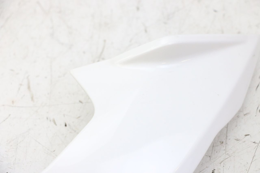 photo de INTERNA CUPOLINO SINISTRO BMW G310 R 310 (2016 - 2020) - Primo piano tecnico