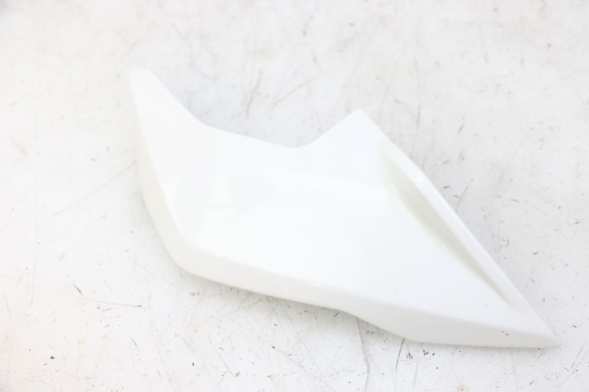 photo de INTERNA CUPOLINO SINISTRO BMW G310 R 310 (2016 - 2020) - Dettagli dei punti di fissaggio