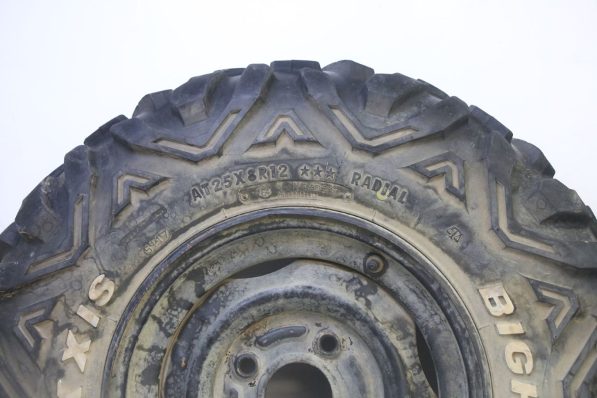 photo de CERCHIO ANTERIORE E PNEUMATICO YAMAHA YFM GRIZZLY 550 (2008 - 2015) - Zoom sullo stato d'uso