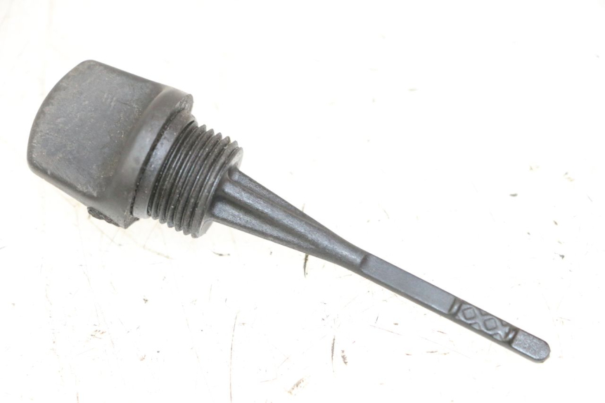 photo de OLIO MOTORE GALLEGGIANTE GILERA NEXUS 300 (2008 - 2013) - Vista principale