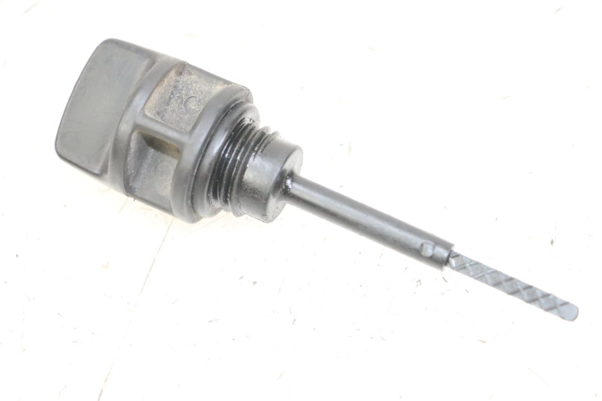 photo de OLIO MOTORE GALLEGGIANTE GOES WIKI 125 (2010 - 2015) - Vista principale