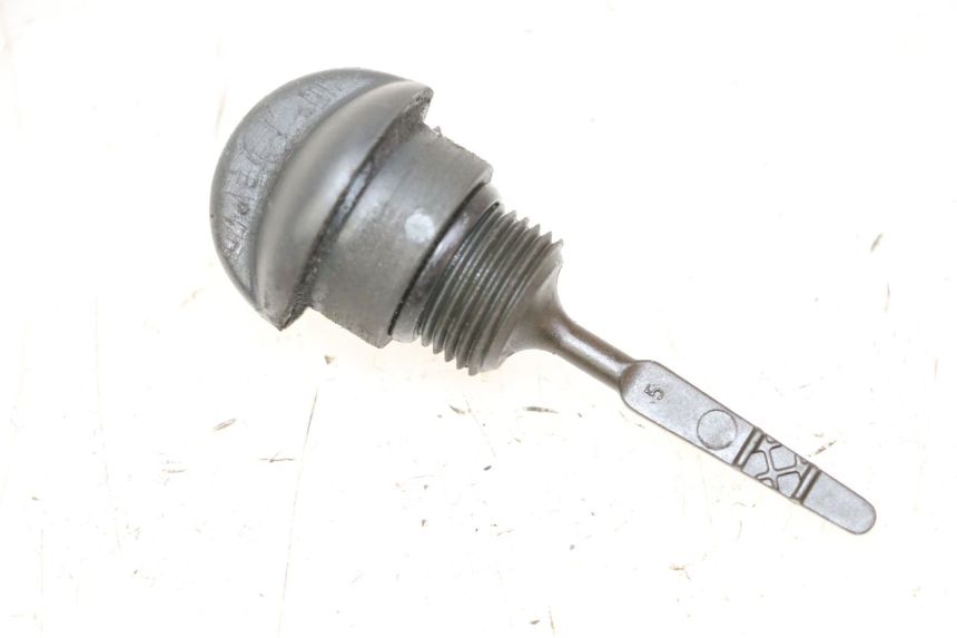 photo de LIVELLO OLIO MOTORE PIAGGIO MP3 RL 250 (2006 - 2010) - Vista principale