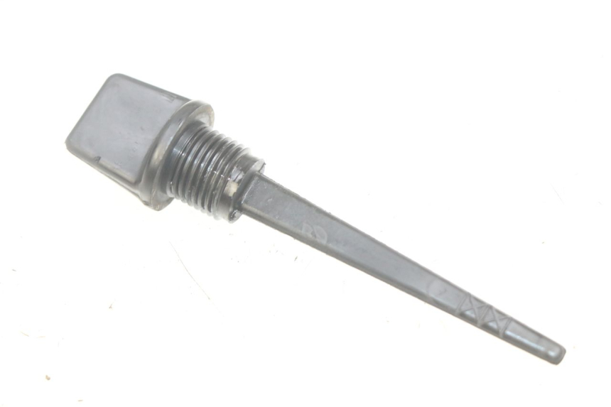 photo de LIVELLO OLIO MOTORE APRILIA SCARABEO LIGHT 125 (2007 - 2011) - Vista principale