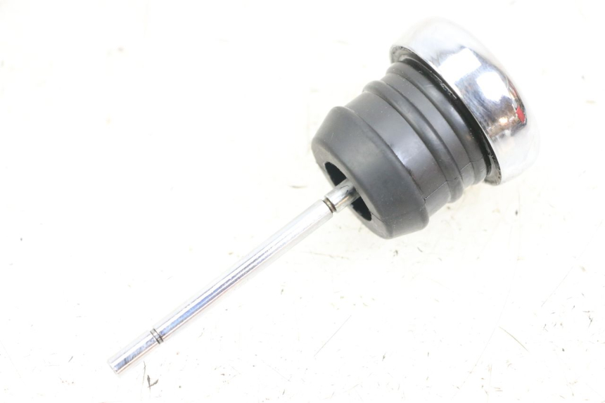 photo de OLIO MOTORE GALLEGGIANTE HARLEY DAVIDSON SPORTSTER XL CUSTOM 1200 (2003 - 2004) - Vista principale