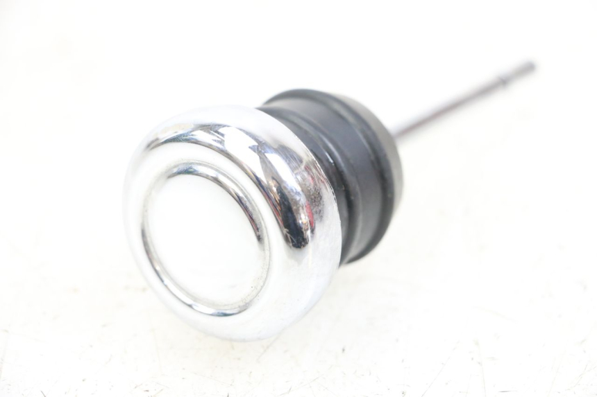 photo de OLIO MOTORE GALLEGGIANTE HARLEY DAVIDSON SPORTSTER XL CUSTOM 1200 (2003 - 2004) - Zoom sullo stato d'uso