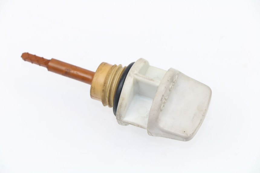 photo de Livello olio motore SYM GTS 125 (2005 - 2008) - Vista principale