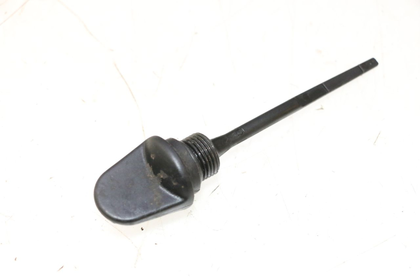 photo de OLIO MOTORE GALLEGGIANTE BOOM TRIKE FUN 500 (2004 - 2010) - Dettaglio del componente