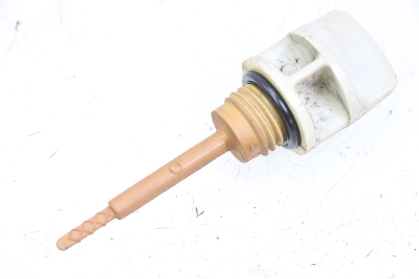 photo de OLIO MOTORE GALLEGGIANTE KYMCO XCITING 250 (2006 - 2009) - Vista principale