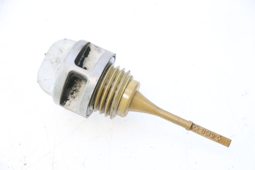 photo de OLIO MOTORE GALLEGGIANTE YAMAHA YP MAJESTY 125 (1998 - 2001) - Vista principale