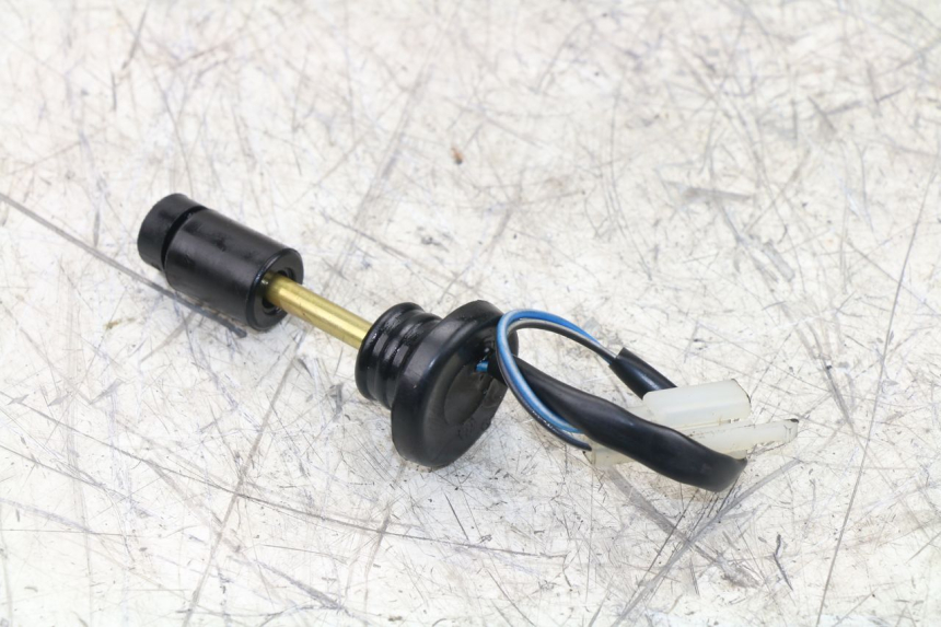 photo de LIVELLO OLIO SERBATOIO TNT MOTOR ROMA 10' 2T 50 (2011 - 2018) - Zoom sullo stato d'uso