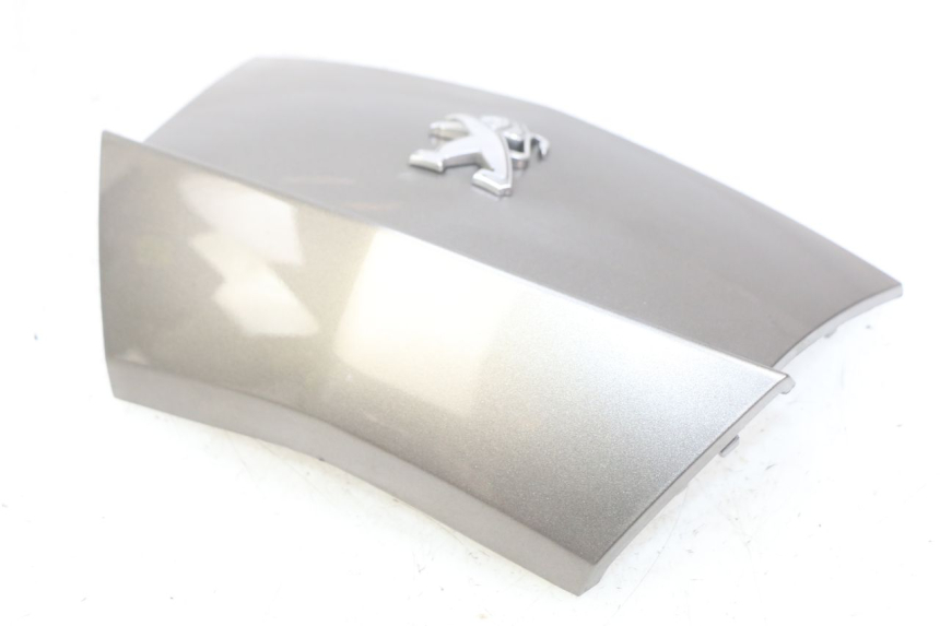 photo de GIUNZIONE PARAFANGO POSTERIORE PEUGEOT CITYSTAR AIR 125 (2014 - 2017) - Primo piano tecnico