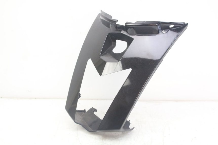 photo de CARENA POSTERIORE CONGIUNZIONE PEUGEOT GEOPOLIS RS 125 (2007 - 2009) - Vista principale