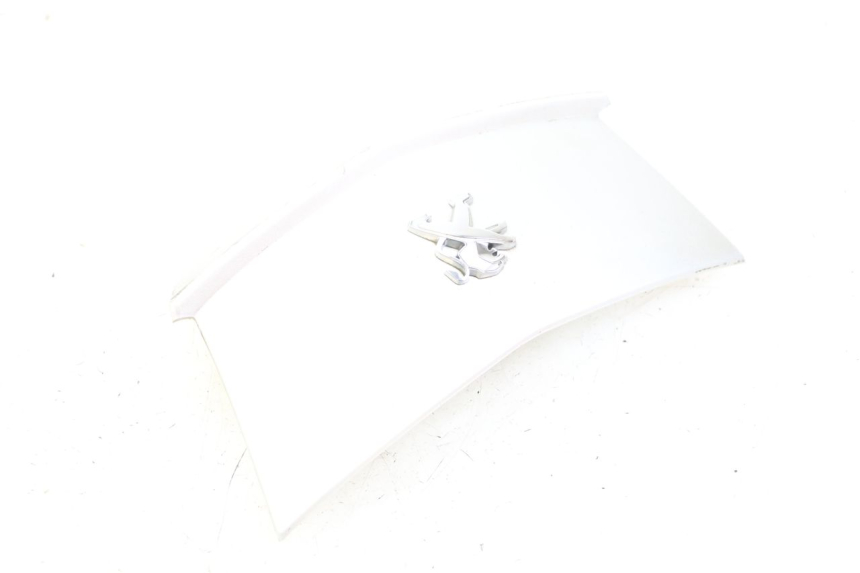 photo de GIUNZIONE PARAFANGO POSTERIORE PEUGEOT CITYSTAR 125 (2011 - 2017) - Stato della superficie e materiale