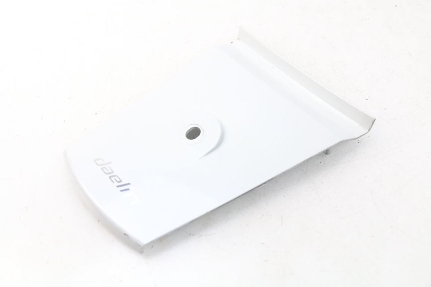 photo de GIUNZIONE PARAFANGO POSTERIORE DAELIM S3 125 (2010 - 2017) - Vista principale