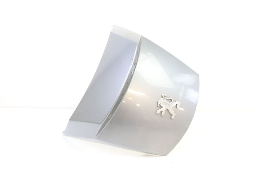 photo de CARENA POSTERIORE CONGIUNZIONE PEUGEOT SATELIS 250 (2006 - 2012) - Vista principale