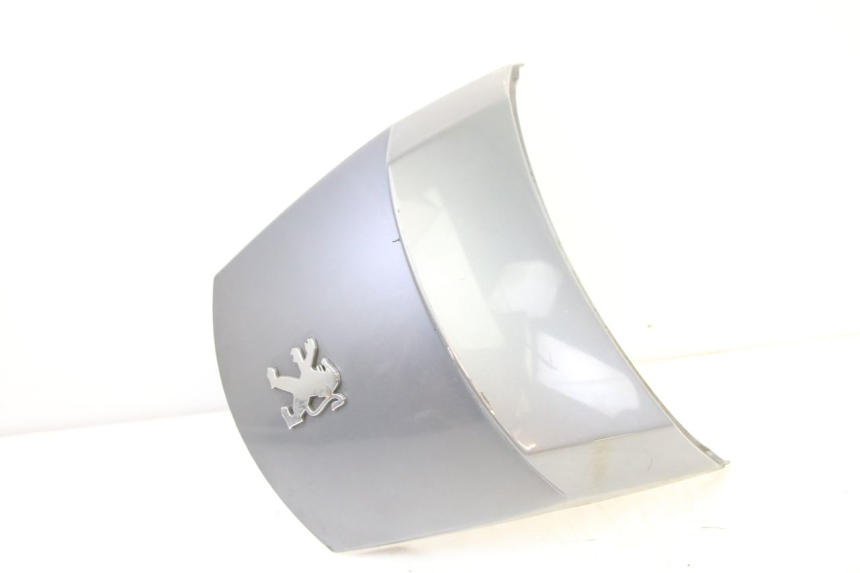 photo de CARENA POSTERIORE CONGIUNZIONE PEUGEOT SATELIS 250 (2006 - 2012) - Dettaglio del componente