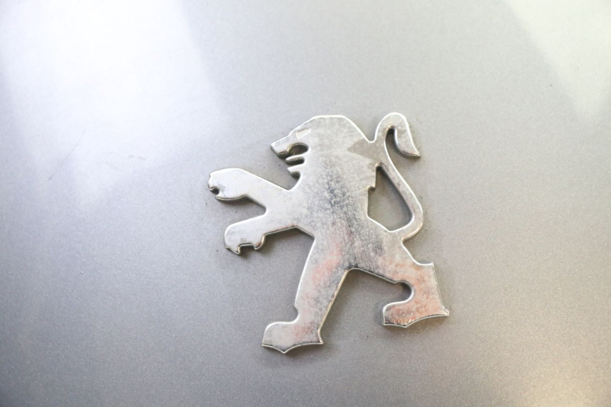 photo de CARENA POSTERIORE CONGIUNZIONE PEUGEOT SATELIS 250 (2006 - 2012) - Primo piano tecnico