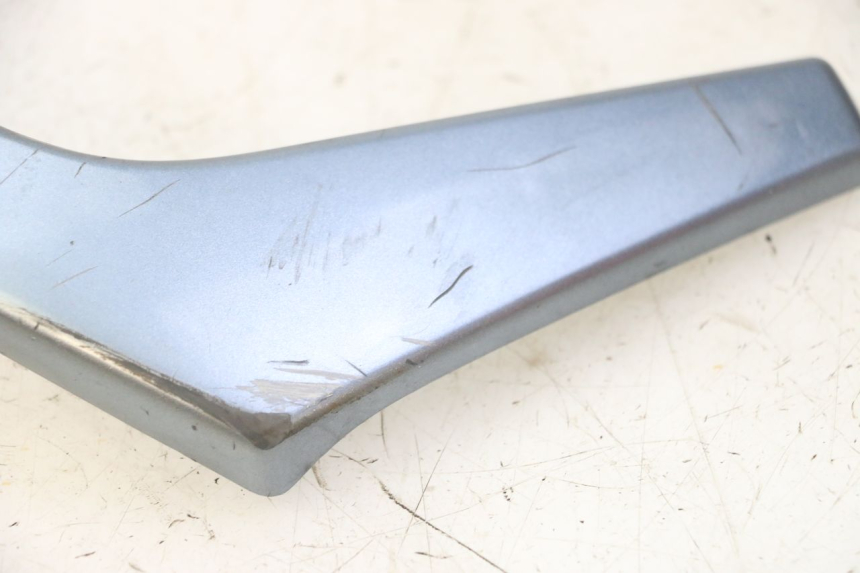 photo de CARENA ANTERIORE CONGIUNZIONE DAELIM HISTORY 125 (2001 - 2002) - Vista d'insieme del prodotto