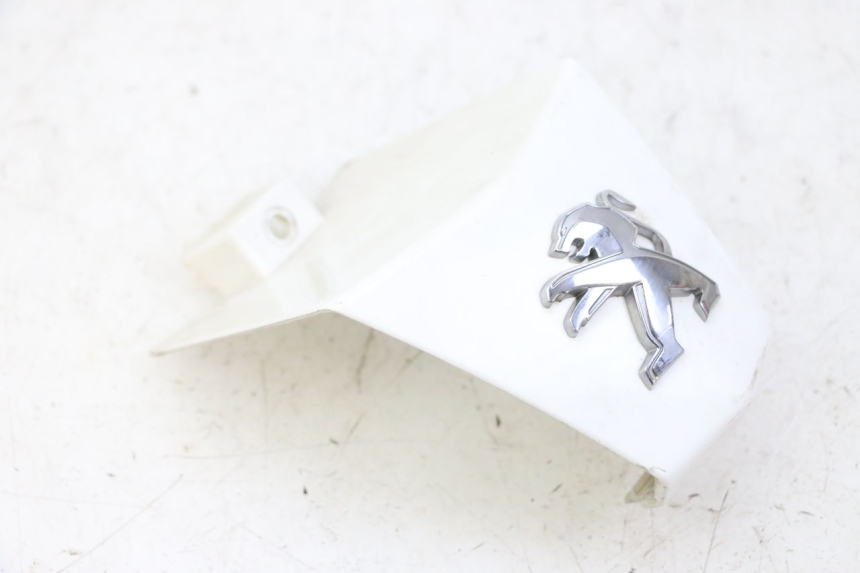 photo de GIUNZIONE PARAURTI ANTERIORE INF PEUGEOT CITYSTAR 50 (2013 - 2017) - Primo piano tecnico