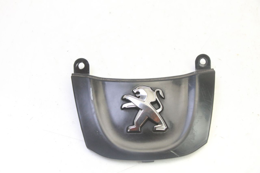 photo de CARENA ANTERIORE CONGIUNZIONE PEUGEOT TWEET 4T 50 (2018 - 2022) - Vista principale