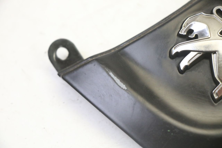 photo de CARENA ANTERIORE CONGIUNZIONE PEUGEOT TWEET 4T 50 (2018 - 2022) - Dettaglio del componente