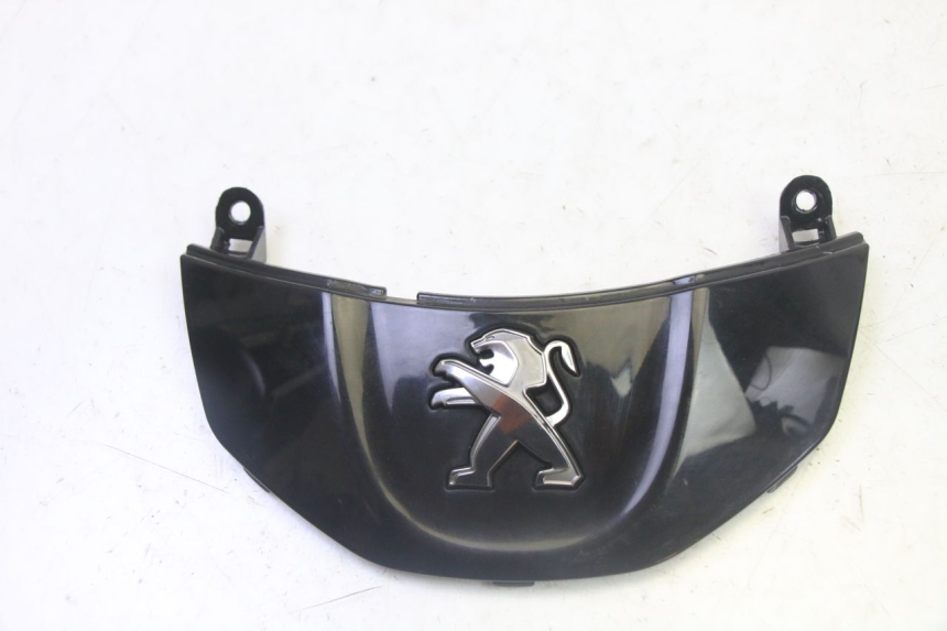 photo de CARENA ANTERIORE CONGIUNZIONE PEUGEOT TWEET PRO CARGO 50 (2018 - 2022) - Vista principale