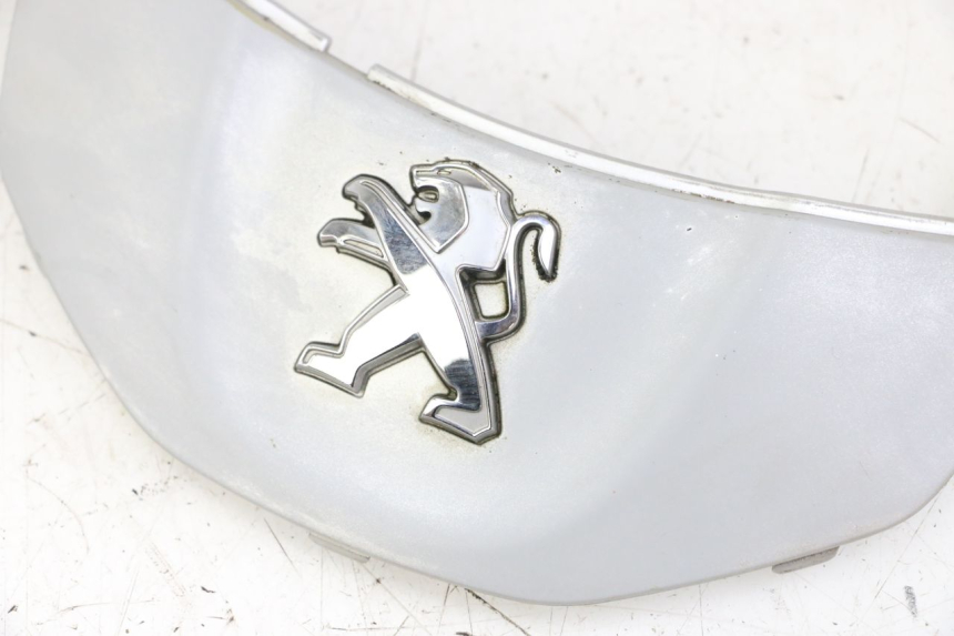 photo de CARENA ANTERIORE CONGIUNZIONE PEUGEOT TWEET 4T 50 (2014 - 2019) - Dettaglio del componente