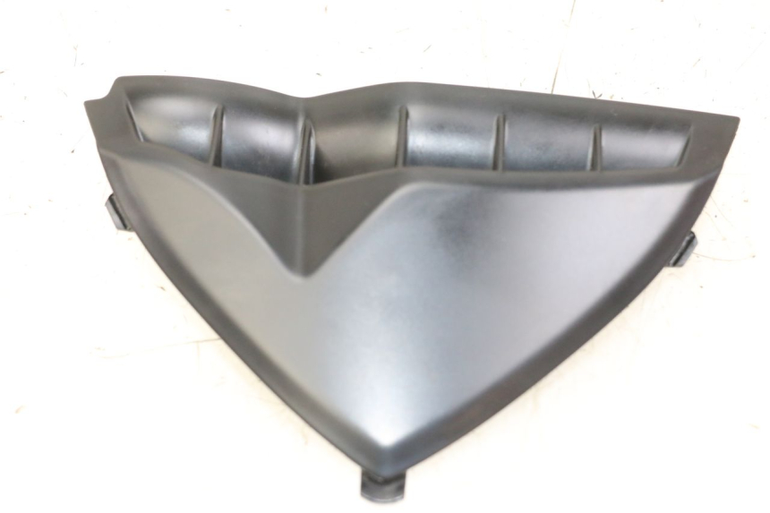 photo de CARENA ANTERIORE CONGIUNZIONE YAMAHA FZ1 FAZER 1000 (2007 - 2009) - Vista principale