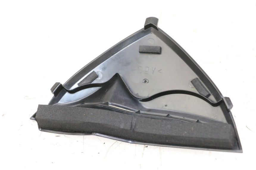 photo de CARENA ANTERIORE CONGIUNZIONE YAMAHA FZ1 FAZER 1000 (2007 - 2009) - Dettaglio del componente