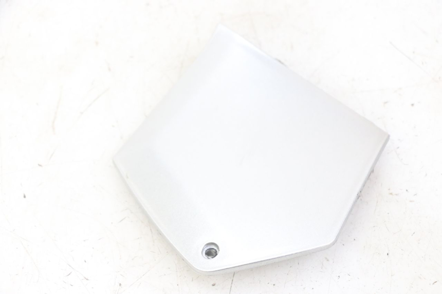 photo de CARENA PEDANA CONGIUNZIONE DESTRA PIAGGIO MP3 LT 300 (2010 - 2016) - Zoom sullo stato d'uso