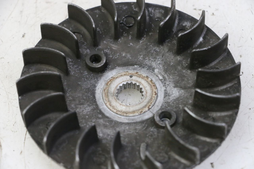 photo de VARIATORE DAELIM HISTORY 125 (2001 - 2002) - Dettaglio del componente