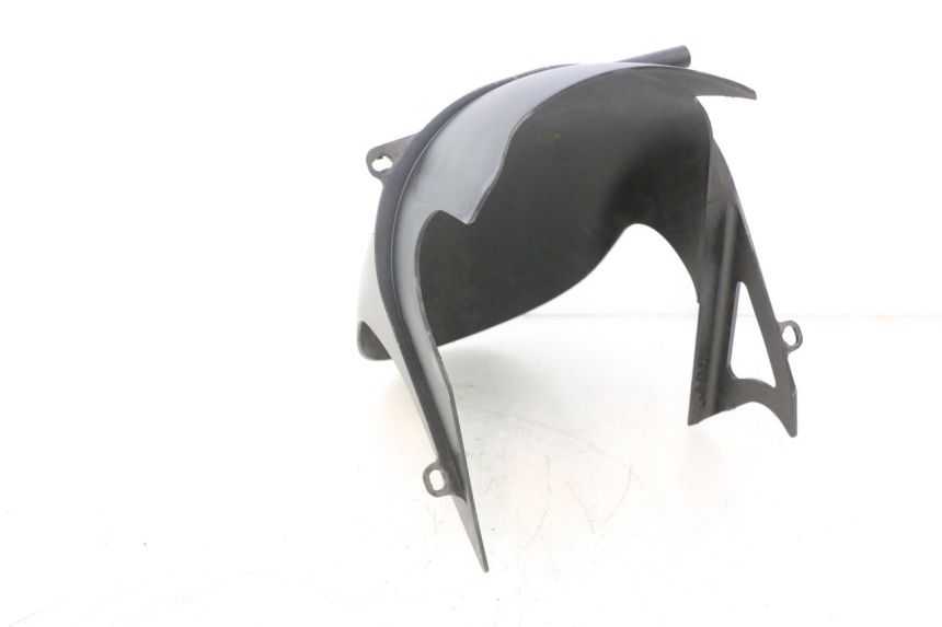 photo de PARASPRUZZI DUCATI SS IE DS CARENEE 1000 (2002 - 2006) - Primo piano tecnico