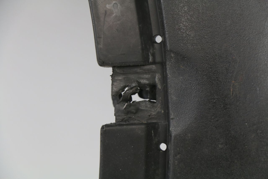 photo de Pedana PEUGEOT SPEEDFIGHT 2 AC 50 (2000 - 2009) - Panoramica del profilo