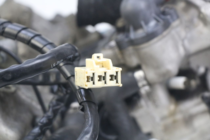 photo de MOTORE PIAGGIO BEVERLY 125 (2010 - 2015) - Ricambio usato controllato