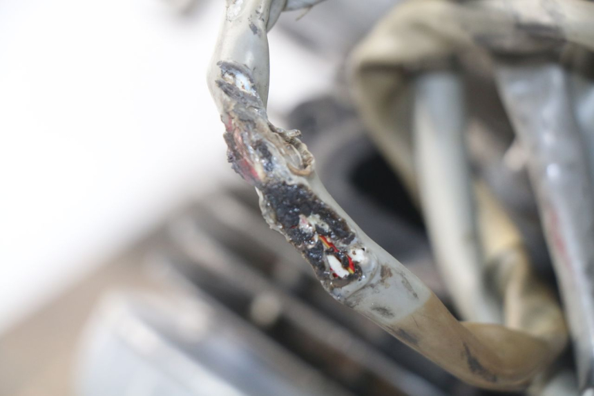 photo de MOTORE YAMAHA BW'S 50 (2004 - 2017) - Dettaglio del componente