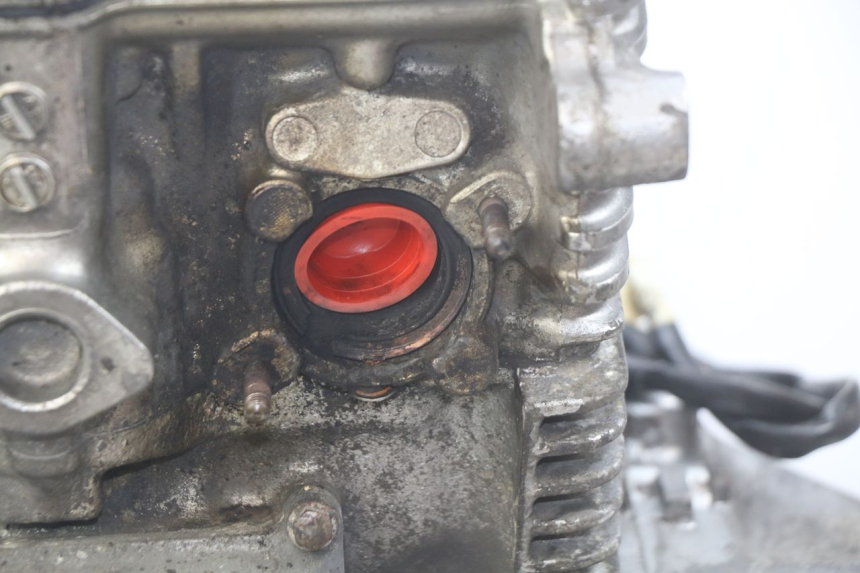 photo de MOTORE HONDA CB 500 (1997 - 2003) - Primo piano tecnico