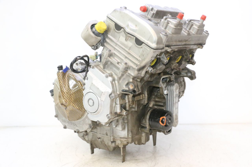 photo de MOTORE HONDA CB F HORNET 600 (2005 - 2006) - Vista principale