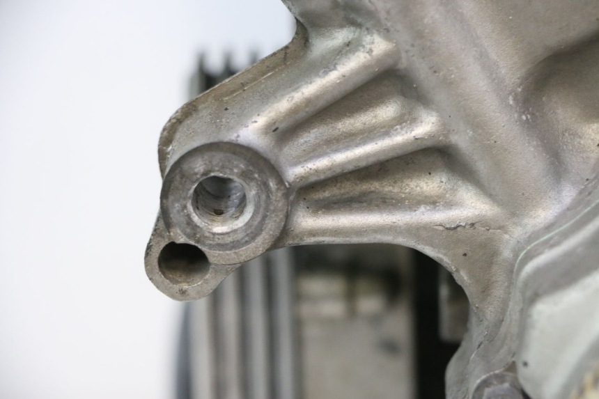 photo de MOTORE HONDA CB F HORNET 600 (2005 - 2006) - Zoom sui componenti