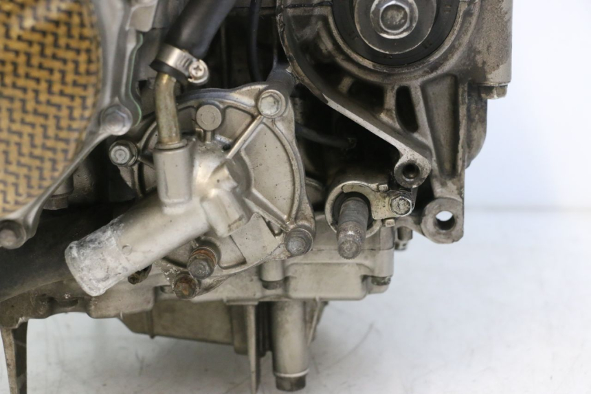photo de MOTORE HONDA CB F HORNET 600 (2005 - 2006) - Foto prodotto supplementare