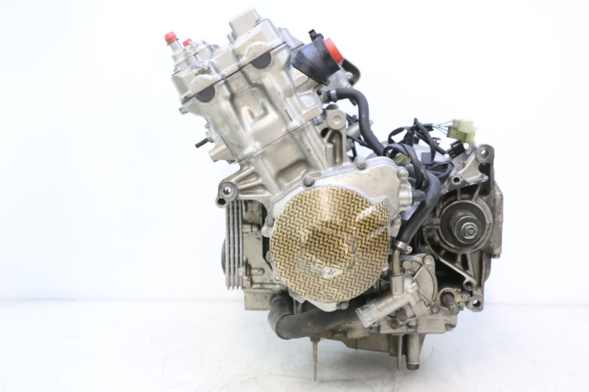 photo de MOTORE HONDA CB F HORNET 600 (2005 - 2006) - Focus sulla struttura