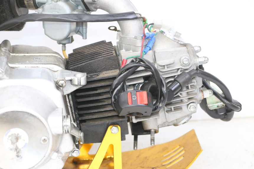 photo de MOTORE CCR DIRT BIKE 110 - Panoramica del profilo