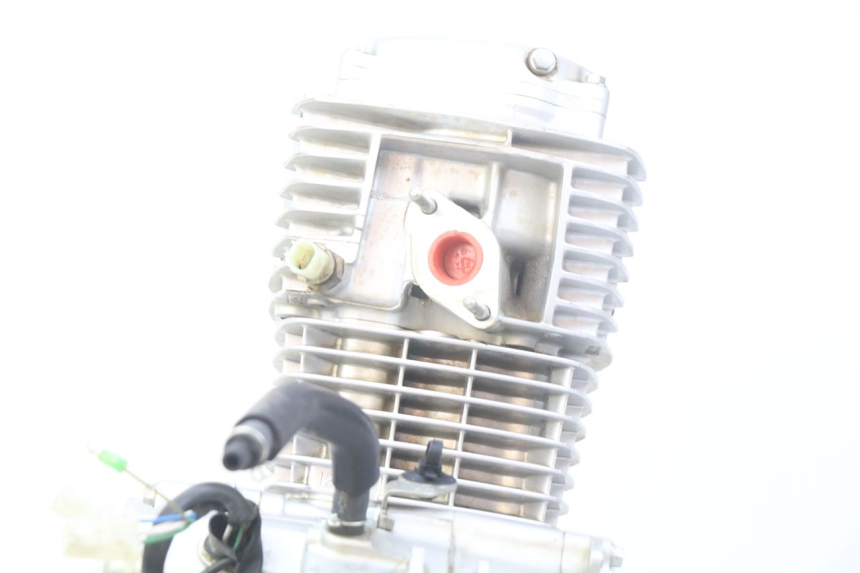 photo de MOTORE HONDA CRF CR-F 125 (2022 - 2023) - Primo piano ad alta risoluzione