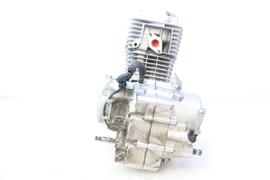 photo de MOTORE HONDA CRF CR-F 125 (2020 - 2021) - Focus sulla struttura