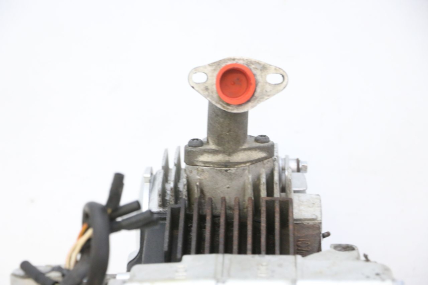 photo de MOTORE SKYTEAM DAX REPLICA 110 (2005 - 2015) - Altra vista dell'articolo